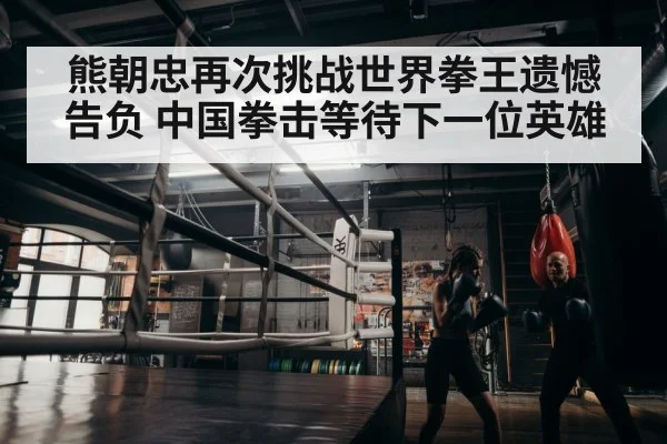 boxer training