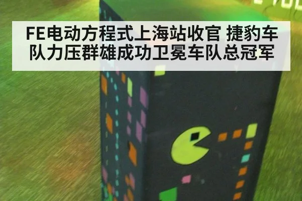 FE电动方程式上海站收官 捷豹车队力压群雄成功卫冕车队总冠军