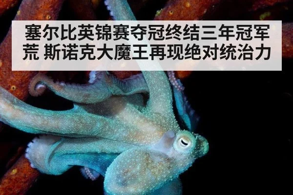 塞尔比英锦赛夺冠终结三年冠军荒 斯诺克大魔王再现绝对统治力